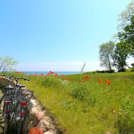 Appartement Strandnahe Mit Terrasse, Gratis Nutzung Vom Ahoi Erlebnisbad Und Sauna In Sellin - Rex Rugia 30-3 Lobbe