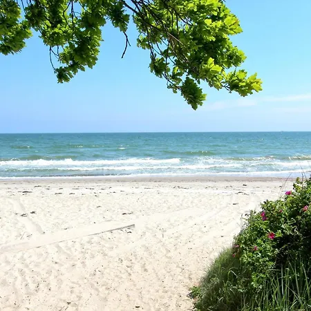 Appartement Strandnahe Mit Terrasse, Gratis Nutzung Vom Ahoi Erlebnisbad Und Sauna In Sellin - Rex Rugia 30-3 Lobbe